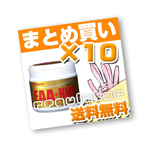 （まとめ買い）【Kentai】EAA＋HMB ×10 （送料無料）【ケンタイ・健康体力研究所】 27,137円