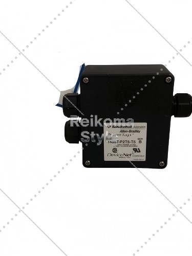 【新品★適当お願いごと書★税込】1485-P2T5-T5 【６ヶ月引き受ける】