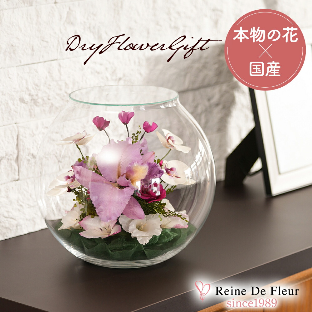 楽天市場】レンデフロール カトレア 胡蝶蘭 シクラメン グラジオス