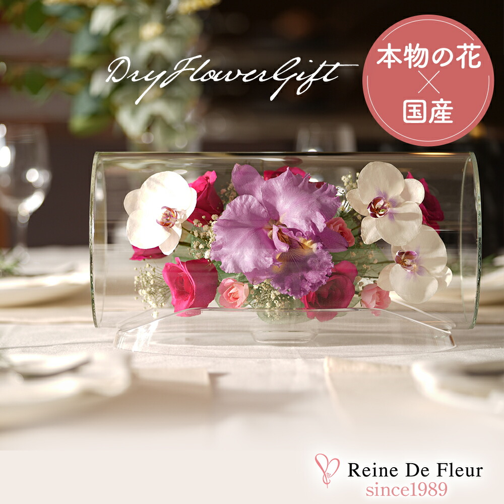 楽天市場】レンデフロール カトレア 胡蝶蘭 シクラメン