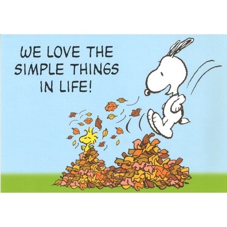 取寄品 Peanuts ポストカード スヌーピー ドイツ製ポストカード 10枚セット デザイン葉書メッセージカード 何でも揃う