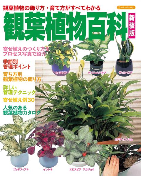 楽天市場 取寄品 観葉植物百科 新装版 1年中楽しめる観葉植物 育つタイプ別のカタログ 趣味の本ブティック社 アンティーク手芸 レネット