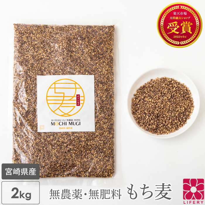 mochi4_700_700.jpg
