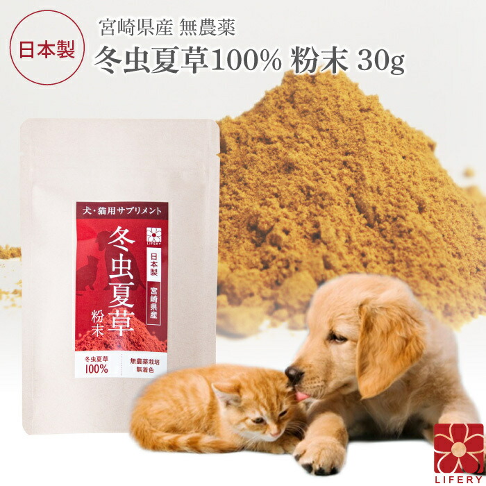 冬虫夏草パウダー 犬猫用