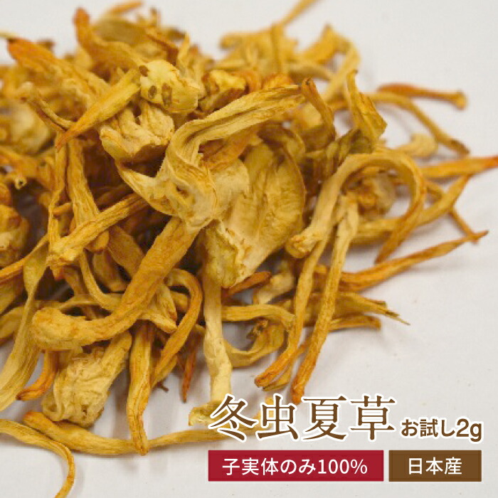 漢方冬虫夏草菌糸体含有加工食品 5箱の+alummaq.com.br