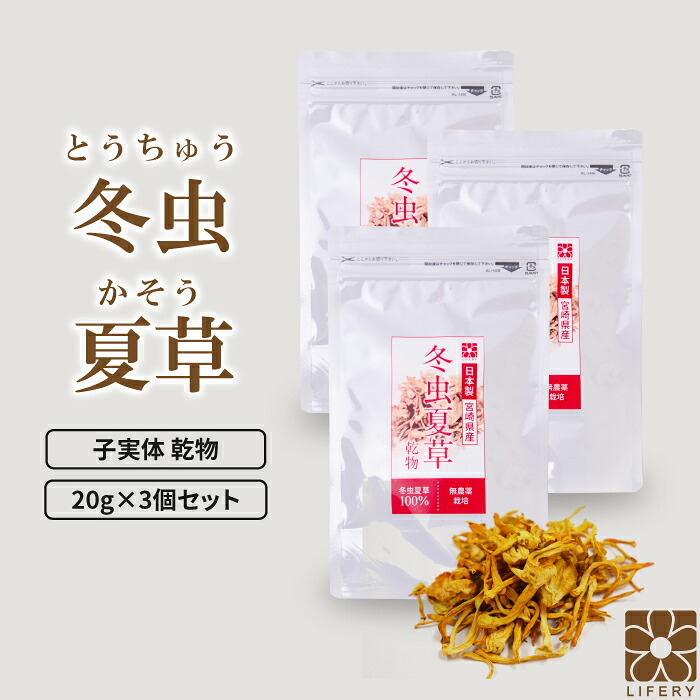 気どらずに作りだす｜ナチュラルフーズ特集
