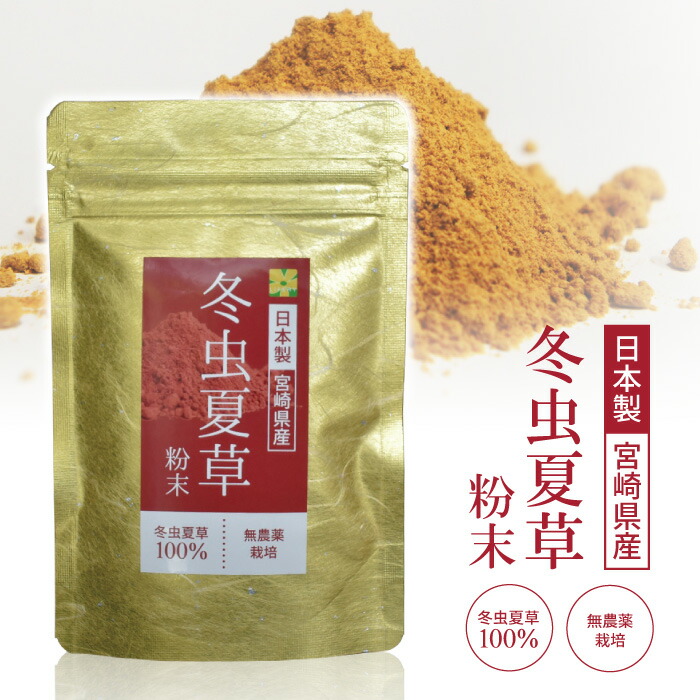 冬虫夏草 コルジセピン サプリメント 粉末 100％ 添加物なし 健康食品 30g 宮崎県産 都城市 無添加 無農薬 人気 サプリ パウダー 茶 北虫草 2021年レディースファッション福袋 菌 国産 対策 日本未発売 肝臓 健康志向 ベータグルカン 免疫 菌活 天然 健康 薬膳食材 βグルカン アルギニン アミノ酸 疲れ