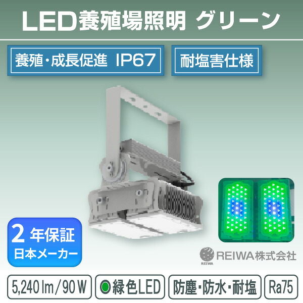 LED育てる場照明装置 400w好いかげんに(90W) 緑であること一体型(一角固着させる式) 緑であること 育てる 育てる場 ヒラメ カレイ 魚 生簀 創立照明装置 投光照明器 防湿 防雨 雨合羽 防塵 塩害 露天 マーキュリー灯 マーキュリー 照明ランプ 薔薇剪断応力 ソジウム メタルハライド 車輪止め受け答え  日本製造会社 REIWA (RSTG-W00903-G)