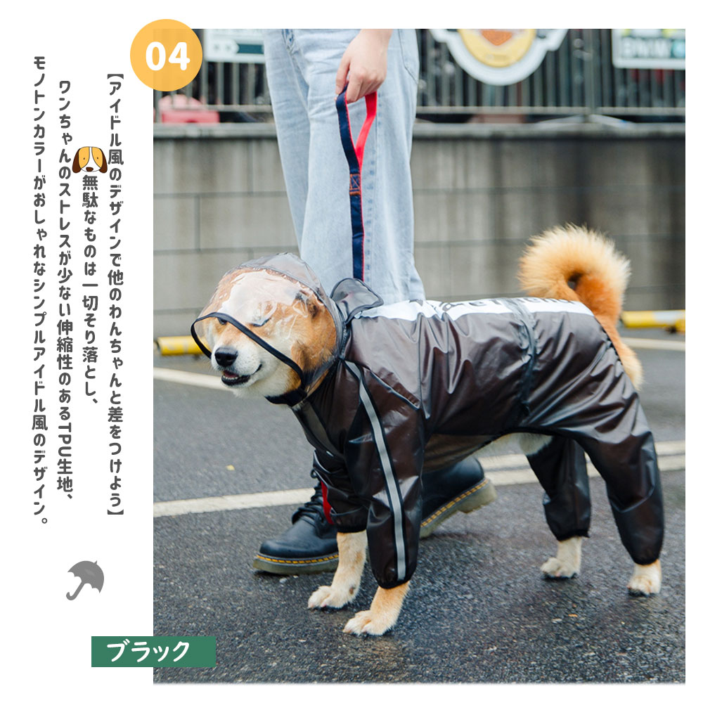 Meganeko