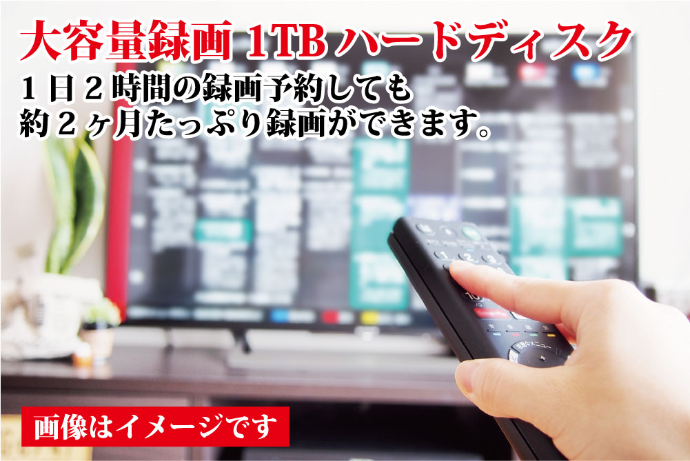 楽天市場 録画機能 Dvdプレイヤー 1tbハードディスク 一体型 外付けハードディスク付dvdプレーヤー 1tb Hdddvdプレーヤー 録画機能 番組録画 外付け Dvd送料無料 Hdmi Usb接続 Dvdプレイヤーレジューム機能 外付けハードディスク 外付けhdd りらくしすと 楽天市場店