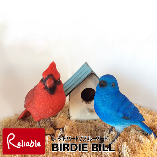 楽天市場 バーディビル Birdie Bill ブルーバード 小鳥のクリップホルダー レッドバードは完売です 小鳥 青い鳥 赤い鳥 クリップホルダー オブジェ リアル メッセージバード バーディービル バードビル Magnet インテリア通販ｒｅｌｉａｂｌｅ