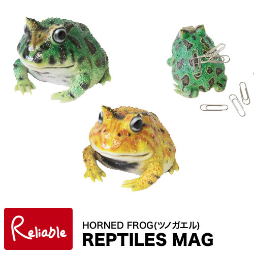 楽天市場 レプタイルズマグ ホーンドフロッグ Reptiles Mag Horned Frogツノガエル カエル クリップホルダー リアル Magnet あす楽対応 インテリア通販ｒｅｌｉａｂｌｅ