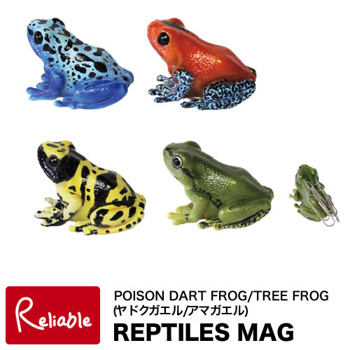 楽天市場 レプタイルズマグ ヤドクガエル アマガエル Reptiles Mag Dart Frogs Tree Frog カエルの形のマグネット クリップホルダー オブジェ リアル Magnet インテリア通販ｒｅｌｉａｂｌｅ
