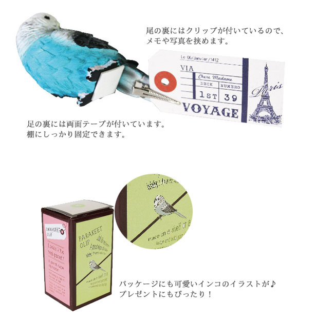 楽天市場 在庫限り Parakeet Clip パラキートクリップ Blue ブルー Green グリーン Pink ピンク インコクリップ インコ セキセイインコ 鸚哥 小鳥 トリ Magnet リライアブルプラス1