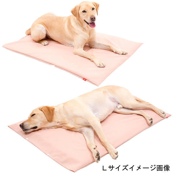 老猫 犬用品 クーポン配布中 期間限定 高反発マットレス Lサイズ 床ずれ防止 床ずれ防止 介護 介護用品 ペット用 老猫介護 マットレス 高反発マットレス いぬ 老犬 老犬介護 黄反発 マット マットレス 大型犬用 ペット ペット用品 犬 いぬ 小型犬 大型犬