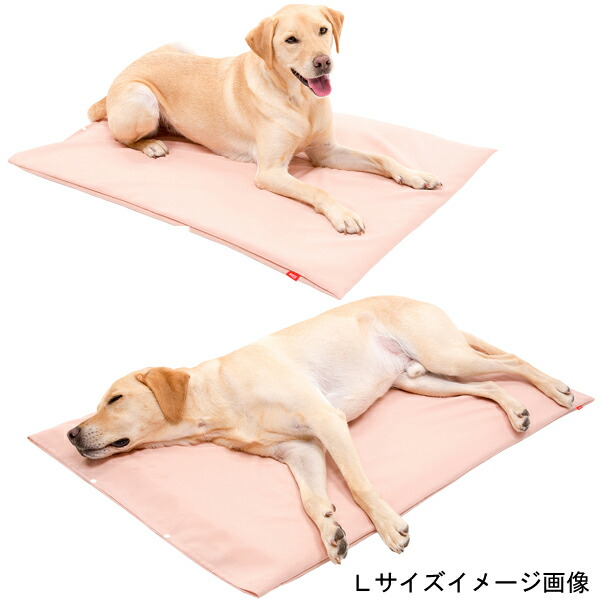 老猫 犬用品 クーポン配布中 期間限定 高反発マットレス Lサイズ 床ずれ防止 床ずれ防止 介護 介護用品 ペット用 老猫介護 マットレス 高反発マットレス いぬ 老犬 老犬介護 黄反発 マット マットレス 大型犬用 ペット ペット用品 犬 いぬ 小型犬 大型犬 老猫 犬用品 クーポン配布中 期間限定 高反発マットレス Lサイズ 床ずれ防止 床ずれ防止 介護 介護用品 ペット用 老猫介護 マットレス 高反発マットレス いぬ 老犬 老犬介護 黄反発 マット マットレス 大型犬用 ペット ペット用品 犬 いぬ 小型犬 大型犬