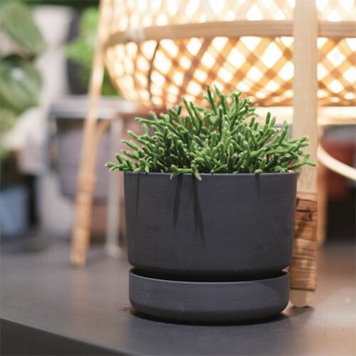 園苑ポット 2勝利一揃い プランター セット 植物 庭 鉢植え 戸外 おしゃれ ガーデン 植木鉢 ガーデニング ポット 陶器 Cswilliamsburg Com