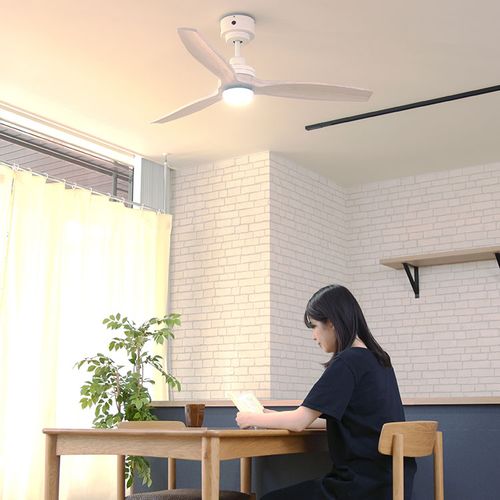 最大1 000円offクーポン 期間限定 送料無料 シーリングファン シーリング ライト ファン Dcモーター 照明 阪和 ウッド 木製 おしゃれ Led 天井照明 吹き抜け 黒 ブラック 白 ホワイト 空調 リモコン付 ダイニング シンプル インテリア カフェ Rvcconst Com