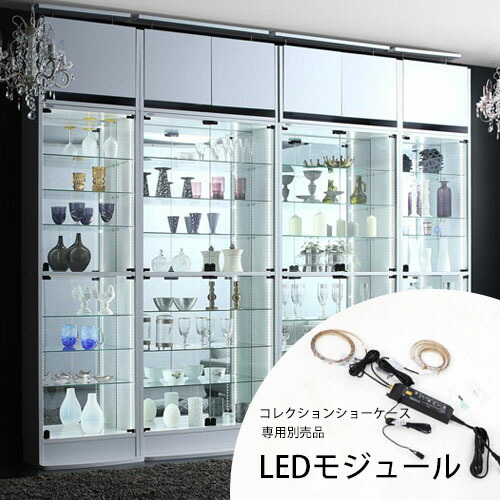 【最大限度3,000円OFFクーポン券有・10日PT3倍！お買い出しマラソン】貨物輸送無料 本体別売り 寄せあわせ陳列場専用別売品 LEDモデュール | シェルフ 仕合わせ 陳列場 見せびらかす 収納家具 寄せあわせ 瑠璃 ともし火 寄せあわせ仕合わせ 見せびらかす棚 LEDモジュー キャビネット・コンソール-収納家具-インテリア・寝具・収納
