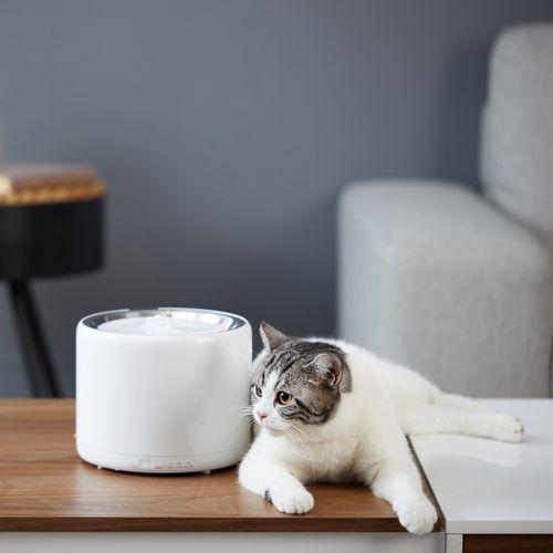 給水機 水 ペット用 イヌ 猫 給水機 水 給水器 ネコ 水飲み器 Petkit 自動給水器 給水器 犬 スタンド 静音 ペット 猫 給水機 給水器 水飲み器 ペット用 水 イヌ ネコ スタンド 静音 Petkit リリー Relie 給水機 水 ペット用 イヌ 猫 給水機 水 給水器 ネコ 水飲み器 Petkit 自動給水器 給水器 犬 スタンド 静音 ペット 猫 給水機 給水器 水飲み器 ペット用 水 イヌ ネコ スタンド 静音 Petkit リリー Relie