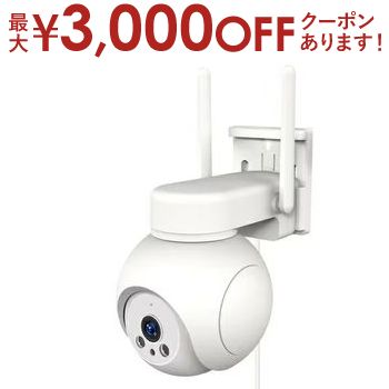 楽天市場】【最大3,000円OFFクーポン有！PT3倍！ブラックフライデー