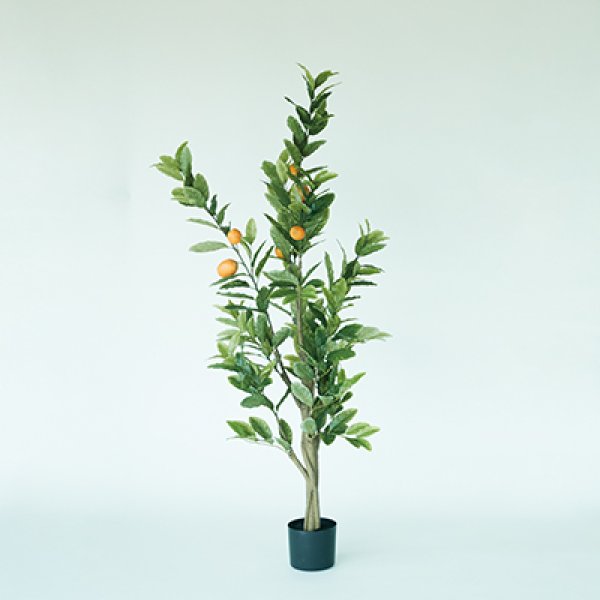 プランター レモン 丸型 陶器 ガーデニング 植木鉢 屋外 室内 おしゃれ 観葉植物 野菜栽培 フラワーポット 多肉植物 水はけ 底穴付き 軽量 デザイン シンプル ベランダ 庭 園芸用品 モダン 植物育成 土入れ替え グリーンインテリア ガーデン用品 育て方 初心者 丈夫 スペース