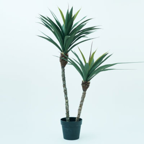 プランター ユッカ 丸型 陶器 ガーデニング 植木鉢 屋外 室内 おしゃれ 観葉植物 野菜栽培 フラワーポット 多肉植物 水はけ 底穴付き 軽量 デザイン シンプル ベランダ 庭 園芸用品 モダン 植物育成 土入れ替え グリーンイン【最大3,000円OFFクーポン配布中|20日P2倍】|リリー(relie)