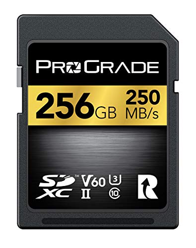 Nextorage 日本 UHS-II V60 256GB SDXC SDカード Amazon | Nextorage 日本メーカー UHS-II V60 256GB SDXC SD