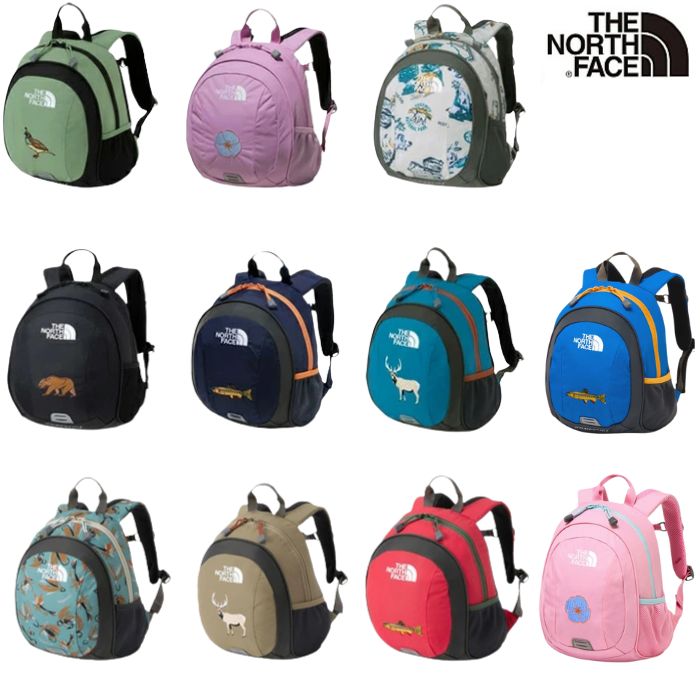 最終値下げ!!! THE NORTH FACE バックパック レッド/グリーン ザ・ノース・フェイス THE NORTH FACE / INSULATED CAMP CROSS