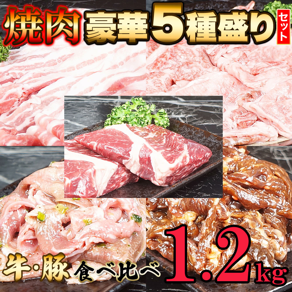 送料無料 5種の味をたっぷり堪能！焼肉豪華セット5種 1.2kg【代金引換不可】【産地直送】