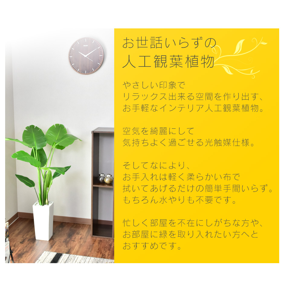 楽天市場 送料無料 一部地域除く 観葉植物 人工観葉植物 水やり不要 光触媒 インテリアグリーン フェイクグリーン オーガスタ 新生活応援 Remembrance Doris