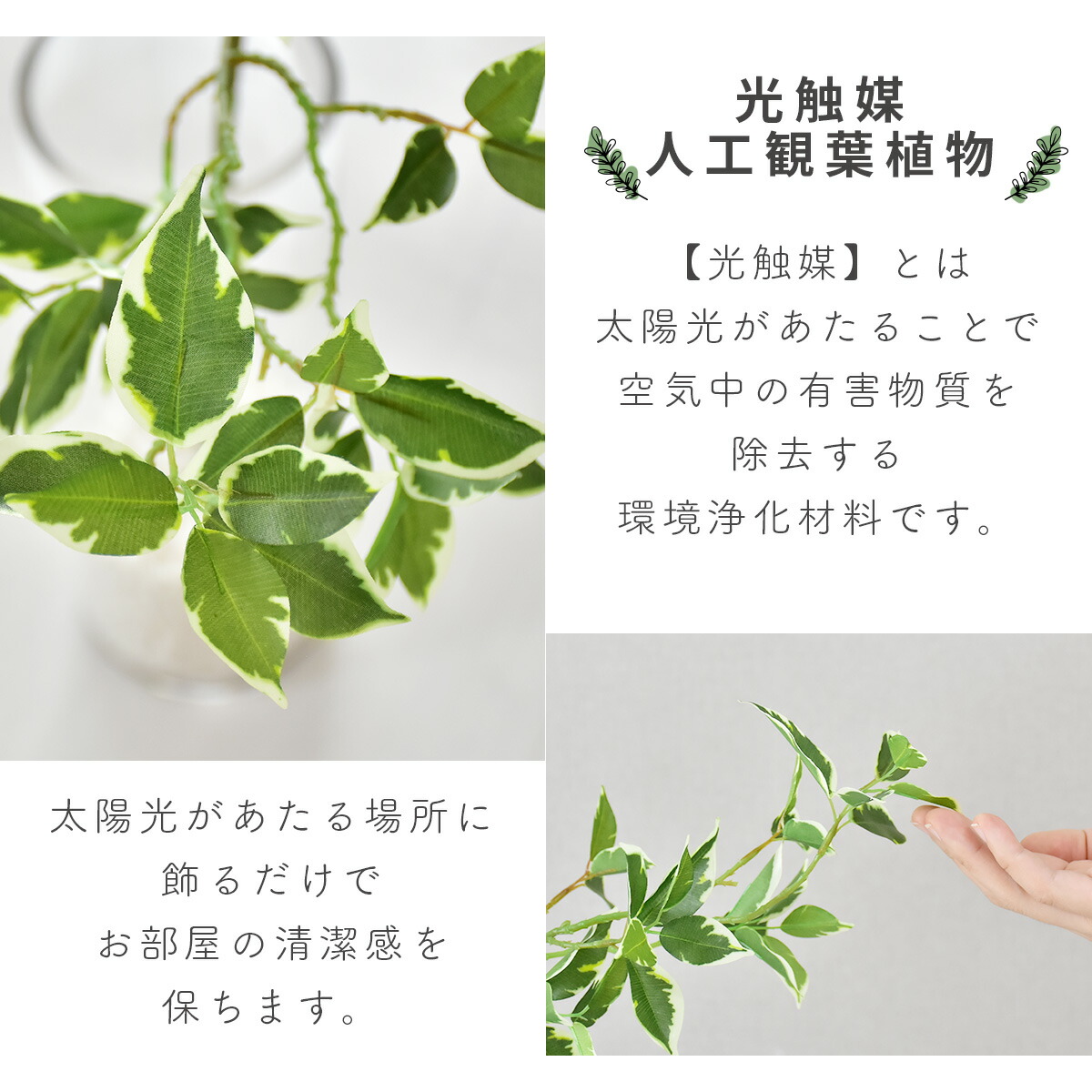 定価の off 人工観葉植物 光触媒 フィカスストライプ ガラス鉢 水やり不要 インテリアグリーン 観葉植物 造花フィカスストライプ 送料無料 Batesmartin Com 定価の off 人工観葉植物 光触媒 フィカスストライプ ガラス鉢 水やり不要 インテリアグリーン 観葉植物 造花フィカスストライプ 送料無料 Batesmartin Com