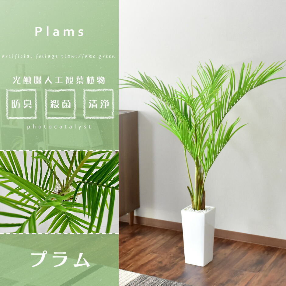 総合福袋 人工観葉植物 フェイクグリーン 観葉植物 プラム 造花 光触媒 5号 鉢 水やり不要 インテリア おしゃれ お祝い 誕生日 出産内祝い お返し 結婚 父 母 男性 女性 彼氏 彼女 お礼 贈り物 プレゼント 送料無料 Www Tonna Com