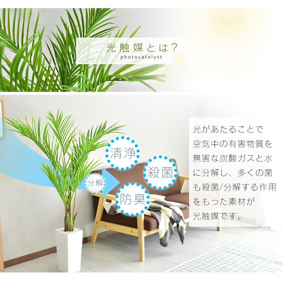 総合福袋 人工観葉植物 フェイクグリーン 観葉植物 プラム 造花 光触媒 5号 鉢 水やり不要 インテリア おしゃれ お祝い 誕生日 出産内祝い お返し 結婚 父 母 男性 女性 彼氏 彼女 お礼 贈り物 プレゼント 送料無料 Www Tonna Com