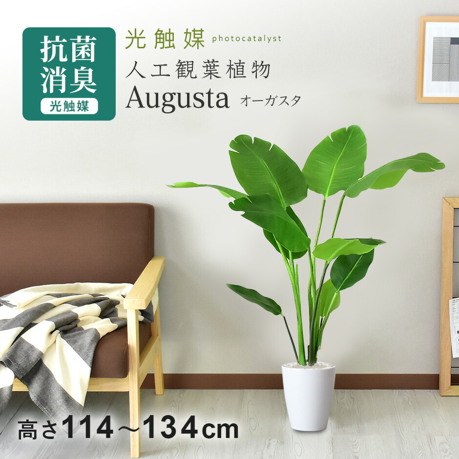 春夏寝具特集