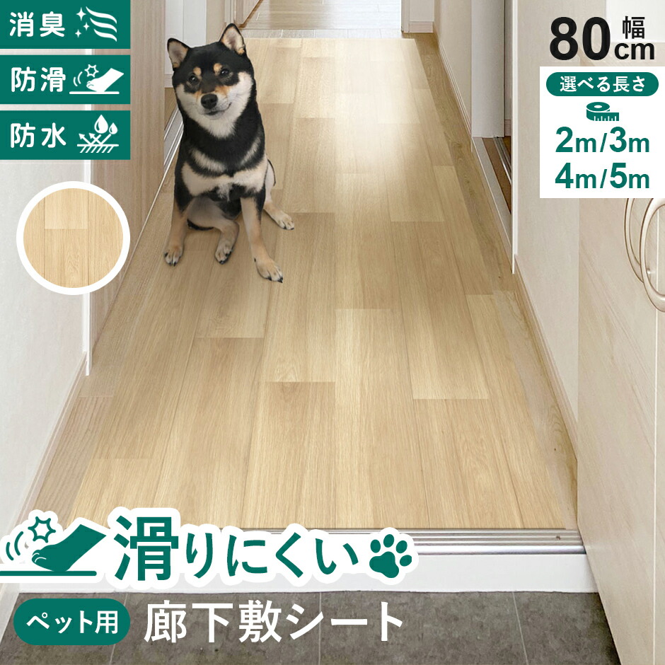 春夏寝具特集