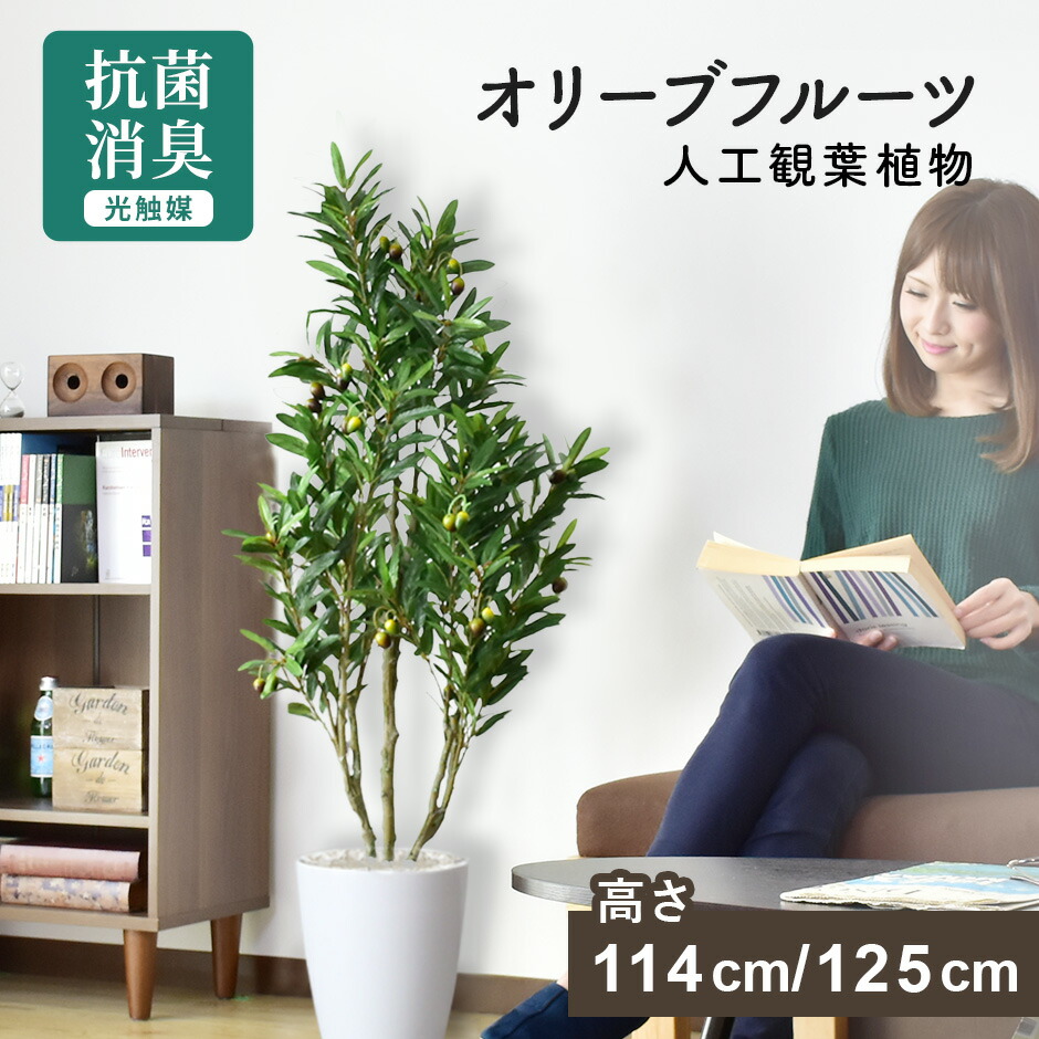 春夏寝具特集