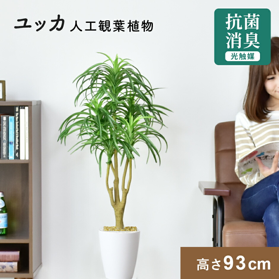 人工観葉植物 お手入れ不要 完成品 かんたん設置 フェイクグリーン フェイクプラント 室内用 鉢付き 置くだけ 観葉植物 ユッカ 造花 光触媒 鉢 水やり不要 インテリア お祝い 誕生日 内祝い お返し 結婚 お祝い お礼 贈り物 プレゼント 北欧 モダン おしゃれ ユッカ ドリス