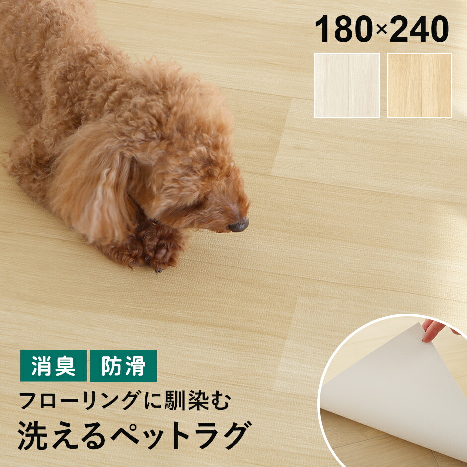 春夏寝具特集
