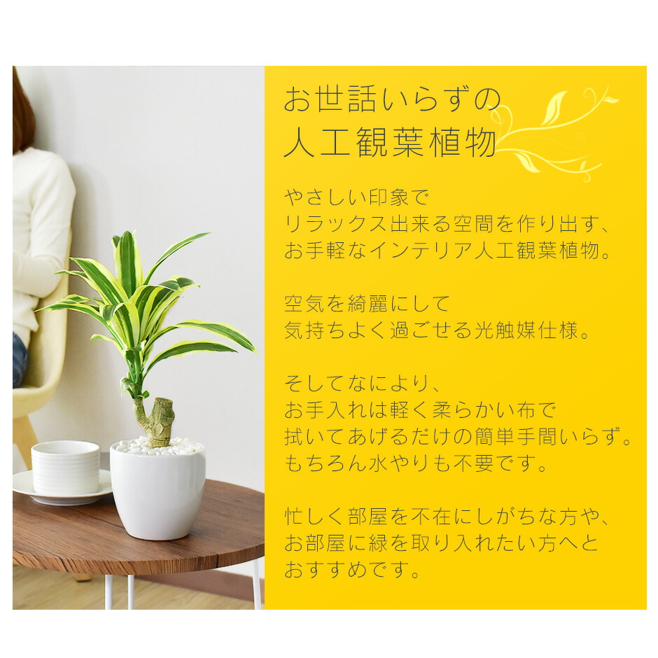 楽天市場 楽天スーパーsale オフクーポン 3 4 時 22時 人工観葉植物 光触媒 ドラセナ 水やり不要 インテリアグリーン 観葉植物 造花 ドラセナs 新生活応援 送料無料 Remembrance Doris
