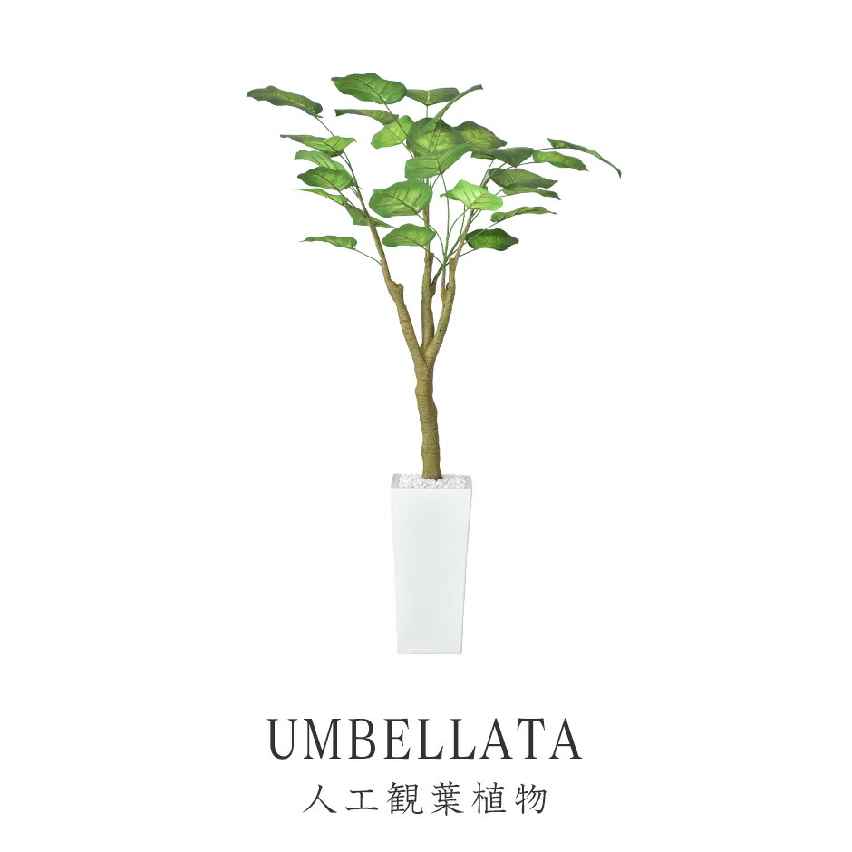春夏寝具特集