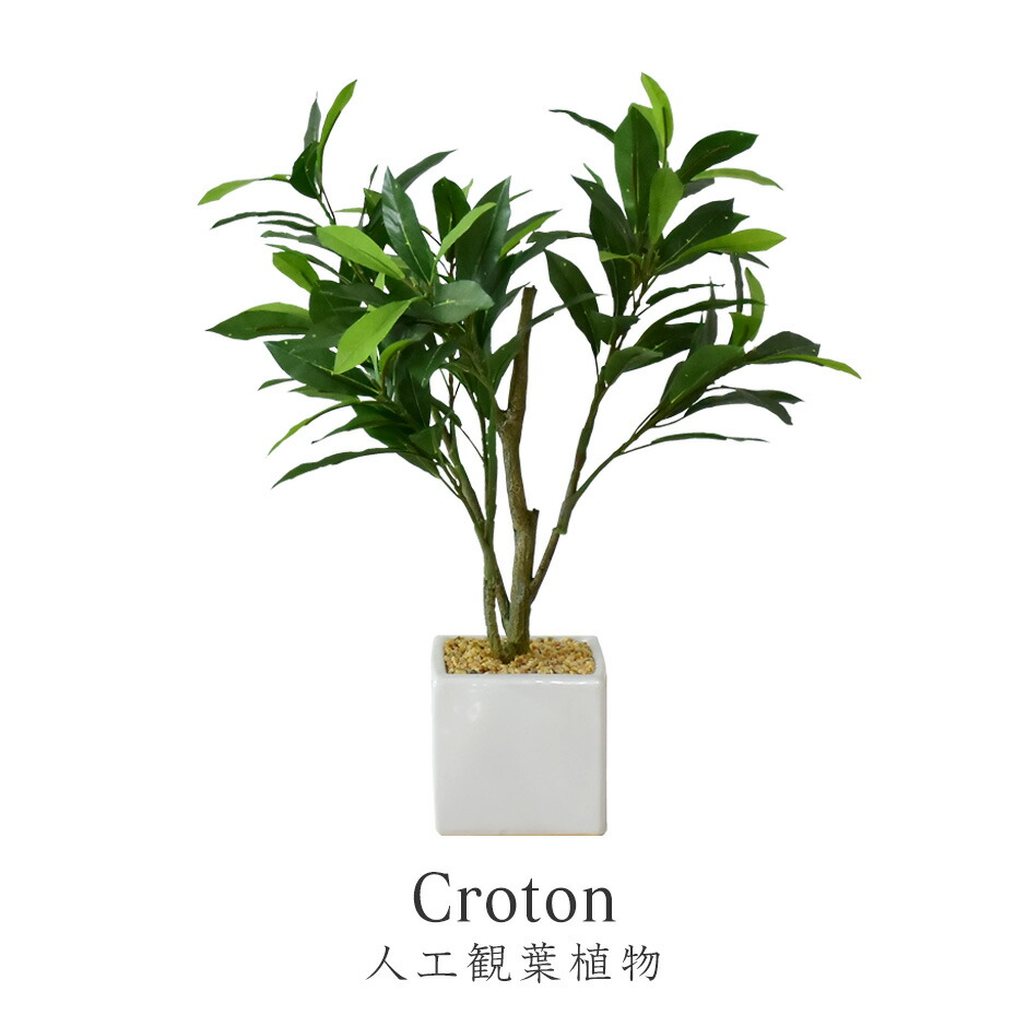 61 Off 人工観葉植物 フェイクグリーン 観葉植物 ゴムノキ インテリアグリーン 造花 光触媒 5号 鉢 水やり不要 インテリア お祝い 誕生日 父 母 男性 女性 お礼 贈り物 プレゼント カシワバゴムノキ Tonna Com