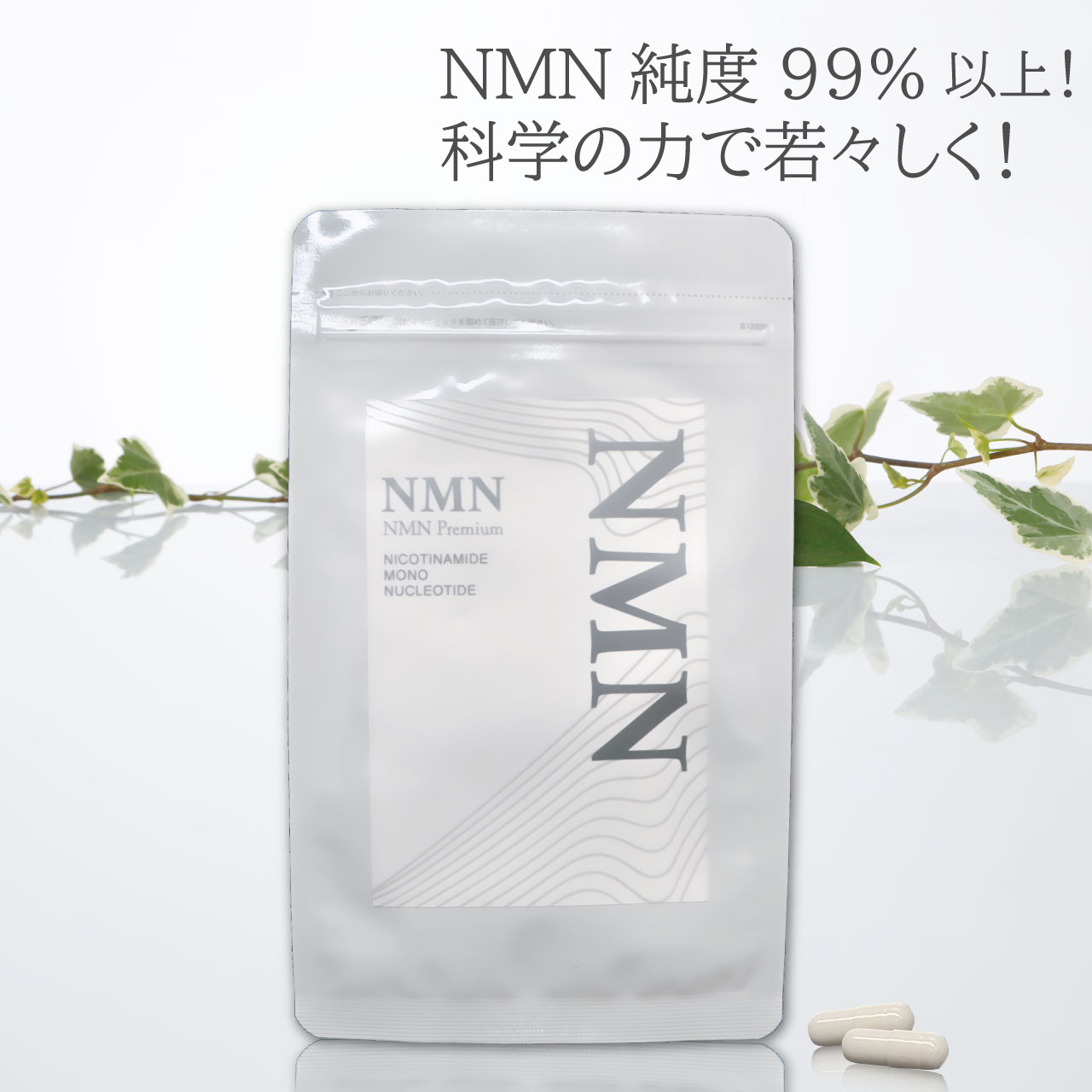 楽天市場】誠心製薬 SEISHIN NMN PREMIUM 60粒 送料無料 : A-BIC shop