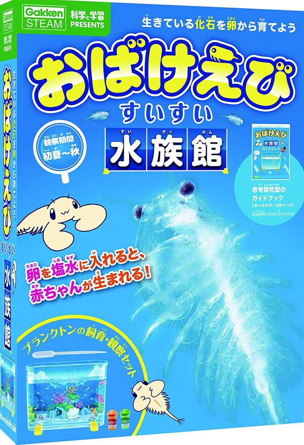 楽天市場】【送料無料!】 海の動物園！シーモンキーズ マゼンタ