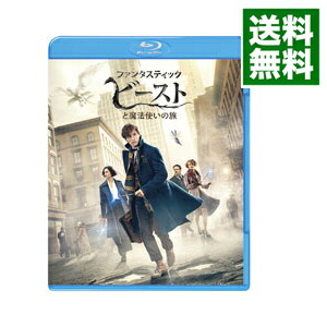 【中古】【Blu−ray】ファンタスティック・ビーストと魔法使いの旅　ブルーレイ＆DVDセット / デヴィッド・イェーツ【監督】画像