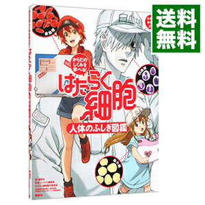 【中古】はたらく細胞人体のふしぎ図鑑 / 講談社 (単行本)画像