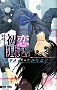 【中古】小説　初恋限定。−ウィンター・フォトグラフ− / 平林佐和子 (新書)画像