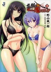 【中古】真剣で私に恋しなさい！！ 3/ 野山風一郎 (文庫)画像