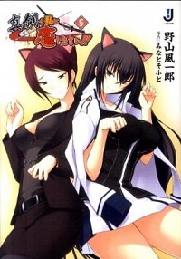 【中古】真剣で私に恋しなさい！！ 5/ 野山風一郎 (文庫)画像