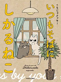 【中古】いつもそばにしかるねこ / もじゃクッキー画像